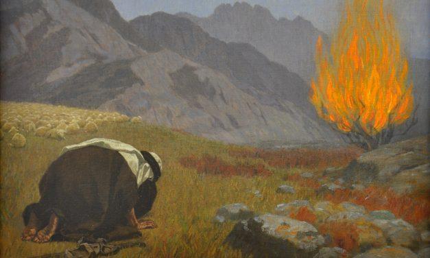 The Burning Bush: Standing on Holy Ground